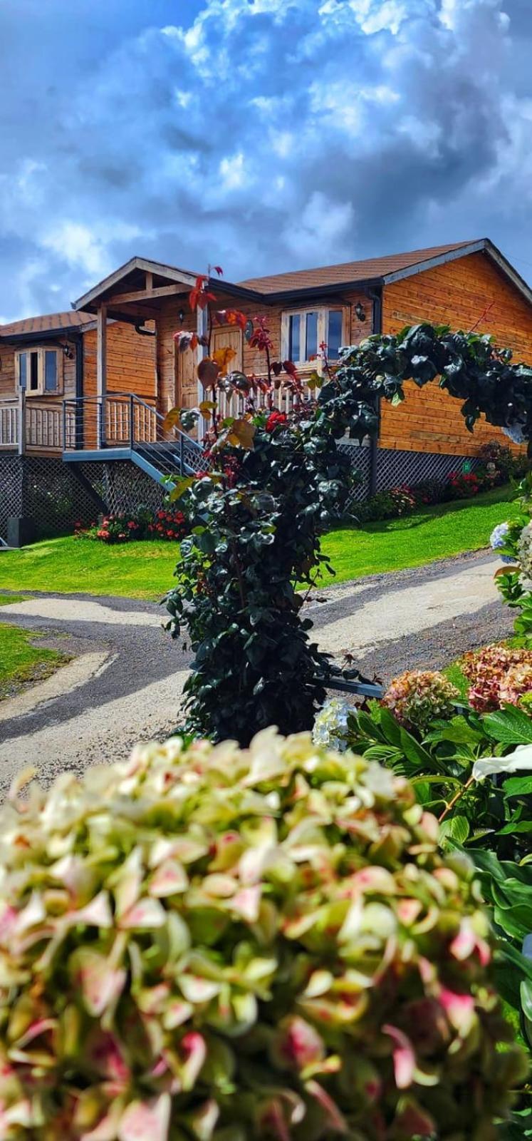 Hotel Cabanas Y Mirador Secret Garden Cr Cartago Exterior photo